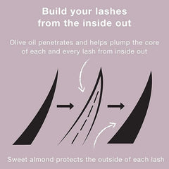 Neutrogena Healthy Volume Lash-Plumping Mascara, Volumizing and Conditioning Mascara with Olive Oil to Build Fuller Lashes, Clump-, Smudge- and Flake-Free, Black 02, 0.21 oz (Pack of 2)